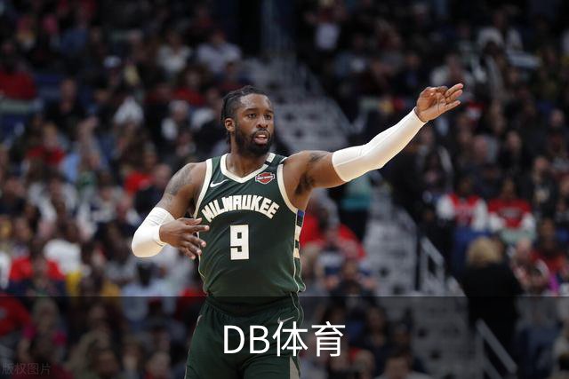 DB体育公司介绍